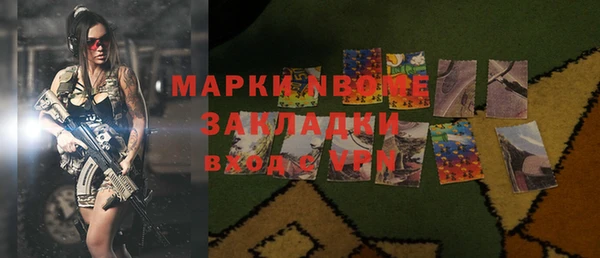 шишки Приозерск