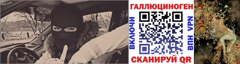 блэк спрут ссылка  Нововоронеж  нарко площадка официальный сайт  Псилоцибиновые грибы Psilocybe 