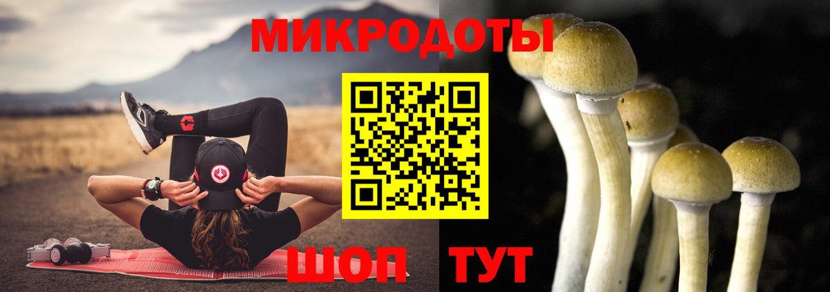 Галлюциногенные грибы MAGIC MUSHROOMS  Псилоцибиновые грибы ЛСД  Вход с VPN  Нововоронеж 